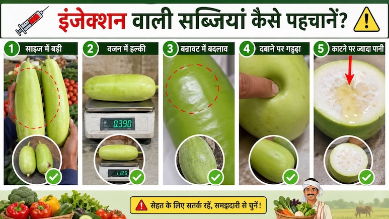 कहीं आप भी तो नहीं खा रहे इंजेक्शन वाली सब्जियां? बस इन 5 ट्रिक से घर बैठे चल जाएगा पता