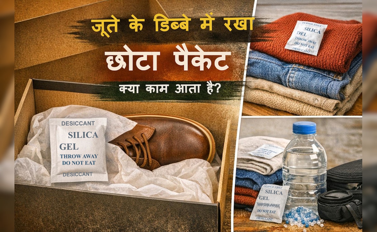 जूतों के डिब्बे में रखा सफेद पैकेट आखिर किस काम आता है? जानें आखिर किस काम आता है ये