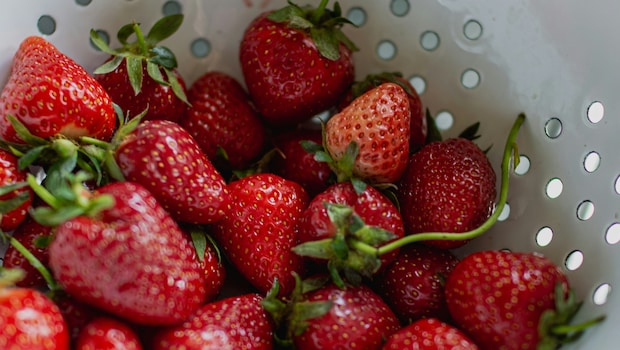 Latest and Breaking News on NDTV Latest and Breaking News on NDTV