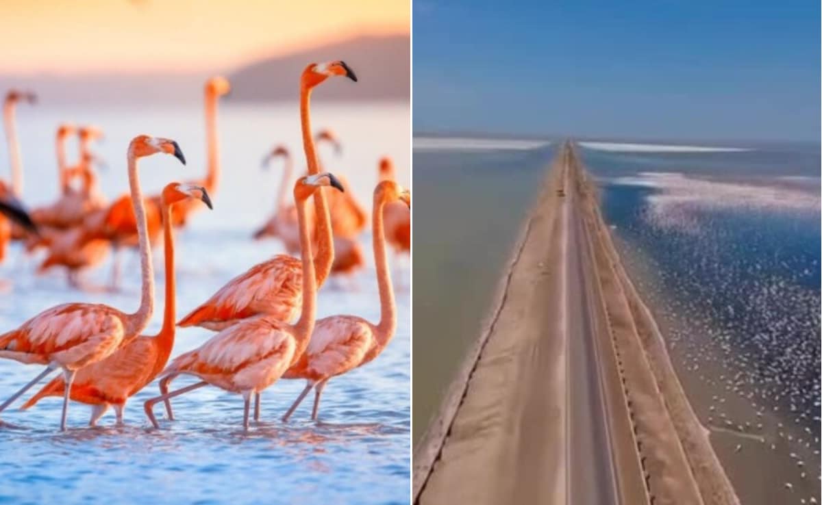 कच्छ के आसमान से दिखा खूबसूरत नजारा, गुजरात के डिप्टी सीएम हर्ष संघवी ने शेयर किया वीडियो