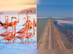 कच्छ के आसमान से दिखा खूबसूरत नजारा, गुजरात के डिप्टी सीएम हर्ष संघवी ने शेयर किया वीडियो