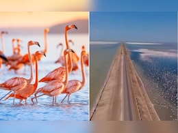 कच्छ के आसमान से दिखा खूबसूरत नजारा, गुजरात के डिप्टी सीएम हर्ष संघवी ने शेयर किया वीडियो