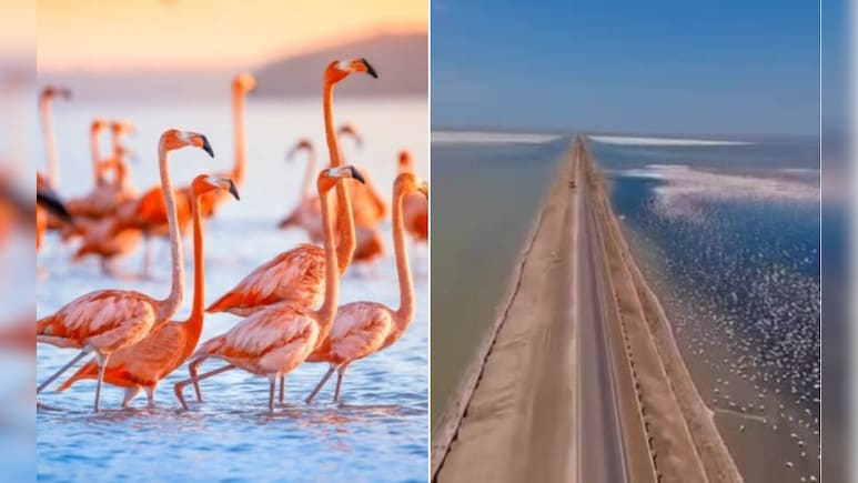 कच्छ के आसमान से दिखा खूबसूरत नजारा, गुजरात के डिप्टी सीएम हर्ष संघवी ने शेयर किया वीडियो