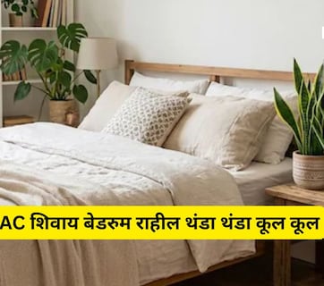 Summer Cooling: भयंकर उष्णतेपासून बेडरूम कसा ठेवाल थंड? AC सोडा हे 4 प्लांट्स लावा अन् रूम करा थंड
