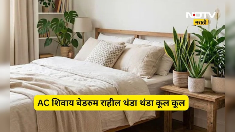 Summer Cooling: भयंकर उष्णतेपासून बेडरूम कसा ठेवाल थंड? AC सोडा हे 4 प्लांट्स लावा अन् रूम करा थंड
