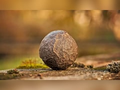 इजराइल की खुदाई में निकली 2100 साल पुरानी गोली, दुश्मनों के लिए खुदा है खौफनाक ताना!