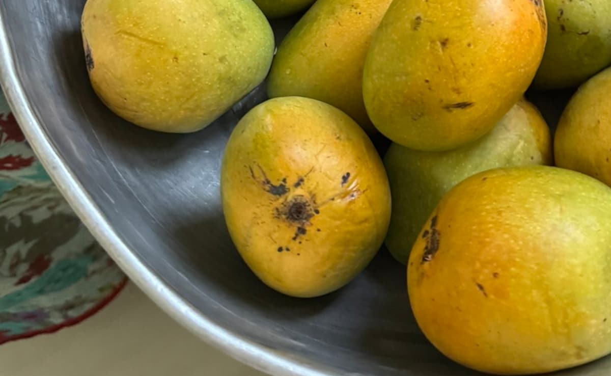 Mumbai Woman Casually Mentions Missing Mangoes, Boss Surprises Her With Boxes From London