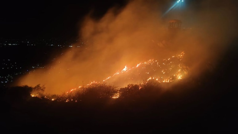 सीकर के हर्ष पर्वत के जंगलों में भड़की भीषण आग, प्राचीन मंदिर के पीछे 7 हेक्टेयर क्षेत्र खाक; प्रशासन में हड़कंप