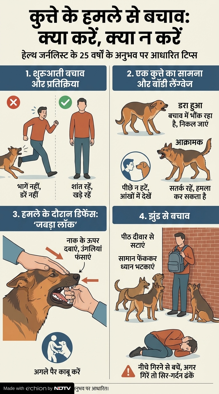 Stray dog attack Ahilyanagar