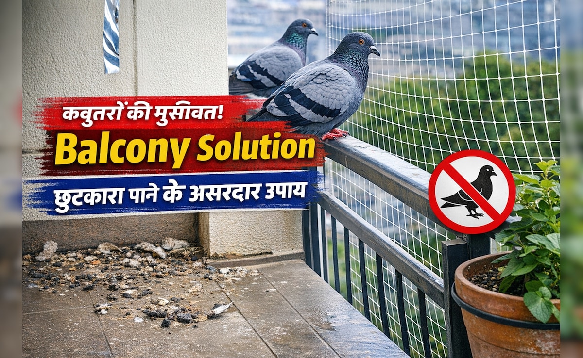 Balcony में कबूतरों से परेशान हैं? इन आसान उपायों से पाएं हमेशा के लिए छुटकारा
