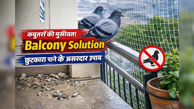 Balcony में कबूतरों से परेशान हैं? इन आसान उपायों से पाएं हमेशा के लिए छुटकारा