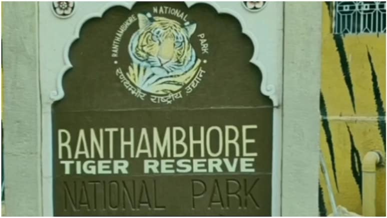 रणथंभौर: फर्जी टिकट पर टाइगर सफारी कराने वाले दो गाइडों पर गिरी गाज, लेकिन 'दोषी' गार्ड पर अधिकारी मेहरबान?
