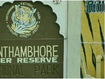 रणथंभौर: फर्जी टिकट पर टाइगर सफारी कराने वाले दो गाइडों पर गिरी गाज, लेकिन 'दोषी' गार्ड पर अधिकारी मेहरबान?