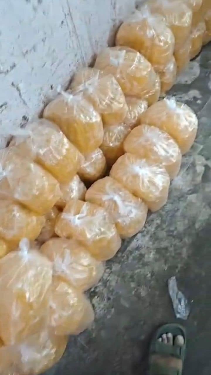 Latest and Breaking News on NDTV Latest and Breaking News on NDTV