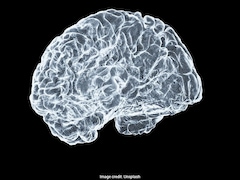 Brain Health Tips: दिमाग को तेज और स्वस्थ रखना है तो आज ही छोड़ दें ये 4 बुरी आदतें, अपनाएं ये आसान उपाय