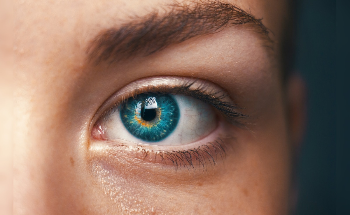 Eye Care Tips: सिर्फ गाजर नहीं, ये 8 चीजें भी आंखों की रोशनी बढ़ाने में करती हैं मदद