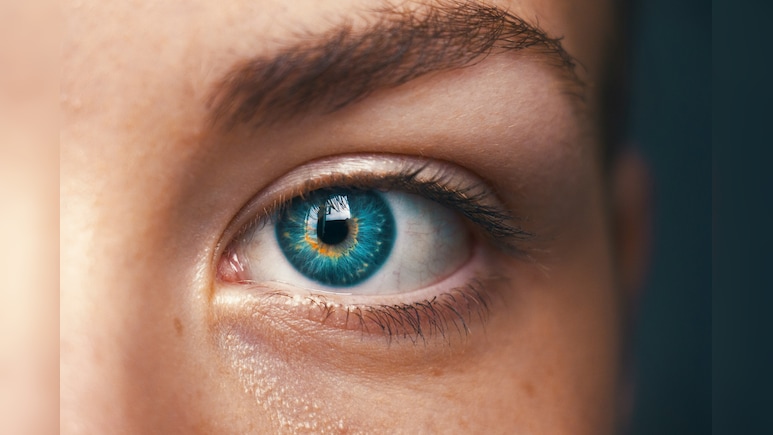 Eye Care Tips: सिर्फ गाजर नहीं, ये 8 चीजें भी आंखों की रोशनी बढ़ाने में करती हैं मदद