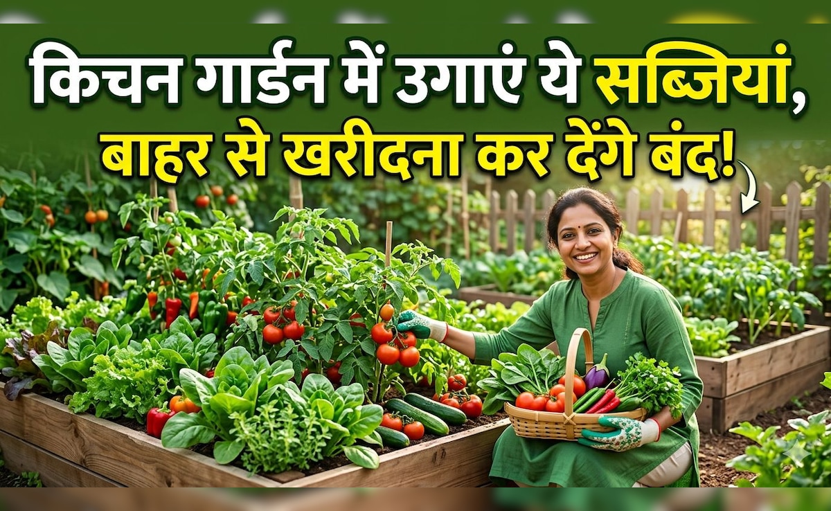 अप्रैल में लगा दिए ये पौधे तो जून में भर-भरकर आएंगी सब्जियां! जानें आसान किचन गार्डन सीक्रेट