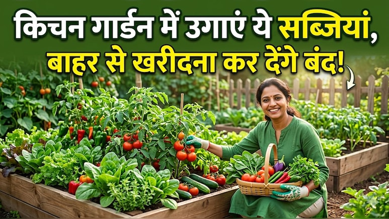 अप्रैल में लगा दिए ये पौधे तो जून में भर-भरकर आएंगी सब्जियां! जानें आसान किचन गार्डन सीक्रेट