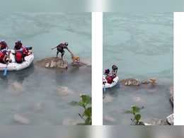 गंगा में फंसे एक आवारा डॉगी को नाव चालक ने बचाया, आज इंटरनेट पर सबसे बेहतरीन वीडियो