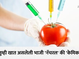 Injected Vegetables Test: भाजी नाही तुम्ही विष विकत घेताय, 5 मिनिटांत 5 ट्रिक्सने ओळखा इंजेक्शन आणि केमिकलयुक्त भाज्या