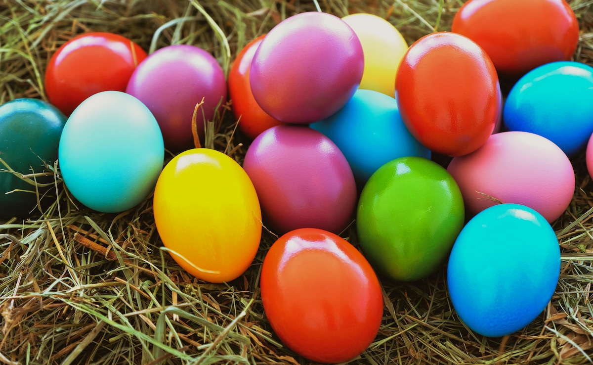 Possible Child Human Remains Found In California Park During Family Easter Egg Hunt