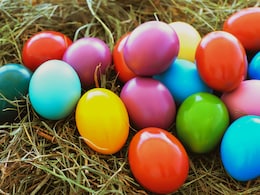 Possible Child Human Remains Found In California Park During Family Easter Egg Hunt