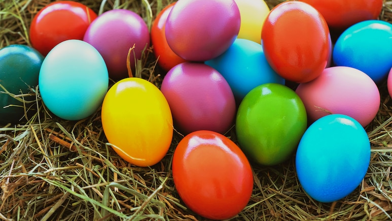 Possible Child Human Remains Found In California Park During Family Easter Egg Hunt