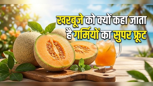 कौन हैं वो 6 लोग जिन्हें गर्मियों में खरबूजा जरूर खाना चाहिए, यहां जानें इसके फायदे