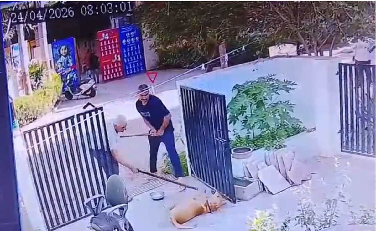 Gujarat News: राजकोट में आवारा कुत्ते पर बेरहमी, बचाने पहुंची महिला से भी मारपीट, घटना कैमरे में कैद
