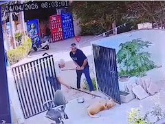 Gujarat News: राजकोट में आवारा कुत्ते पर बेरहमी, बचाने पहुंची महिला से भी मारपीट, घटना कैमरे में कैद