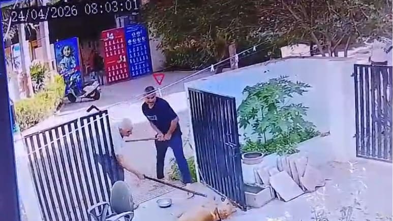 Gujarat News: राजकोट में आवारा कुत्ते पर बेरहमी, बचाने पहुंची महिला से भी मारपीट, घटना कैमरे में कैद