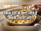 दुनिया में सबसे ज्यादा अंडे कहां खाए जाते हैं? क्या आप जानते हैं इस लिस्ट में भारत का नंबर क्या है?