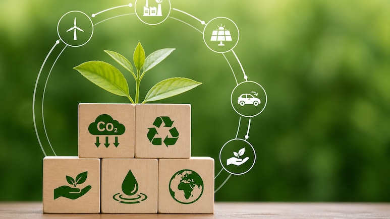 Epic Group Opens Rs 850 Crore Odisha Garment Plant, Targets 20 Million Units A Year