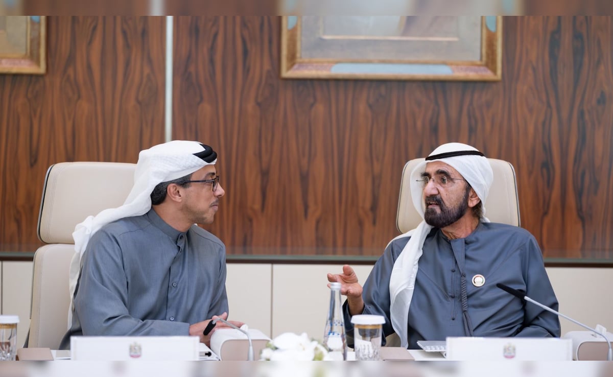 UAE में AI एजेंट करेंगे आधे सरकारी काम,  दुनिया की पहली सरकार जिसने बनाया इतना बड़ा प्लान