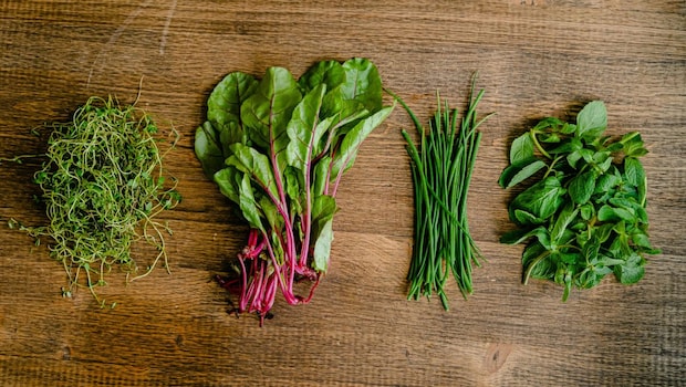 Smart nutrition can help you recover faster and feel less stiff.