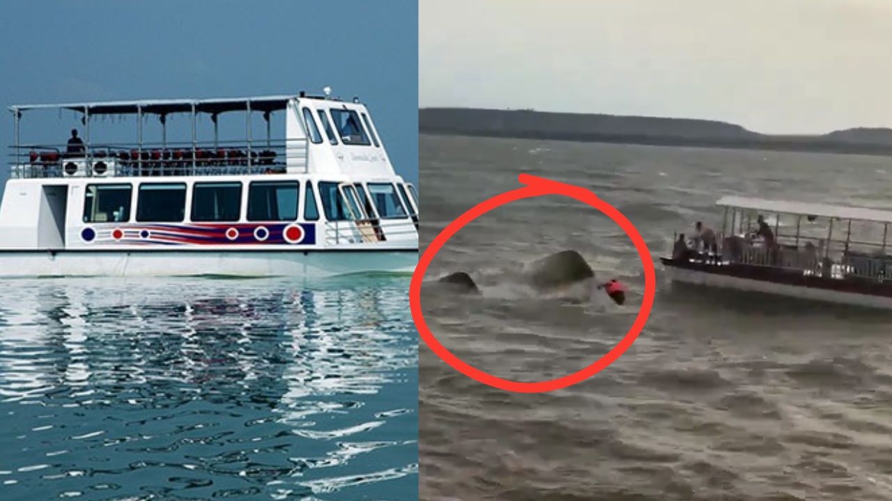 Bargi Dam Cruise Sink Case: बरगी डैम में क्रूज पर सैर करने की कैसी है व्यवस्था कितना लगता है किराया?