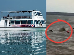 Bargi Dam Cruise Sink Case: बरगी डैम में कैसी है बोटिंग की व्यवस्था जहां, 31 लोगों से भरा क्रूज डूबा