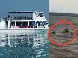 Bargi Dam Cruise Sink Case: बरगी डैम में कैसी है बोटिंग की व्यवस्था जहां, 31 लोगों से भरा क्रूज डूबा