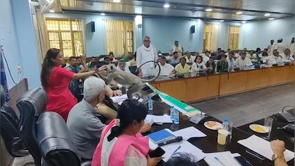 बागपत DM का 'बेजुबान' प्रेम: लंगूर 'मटरू' के लिए छोड़ी अपनी कुर्सी, वीडियो हुआ वायरल