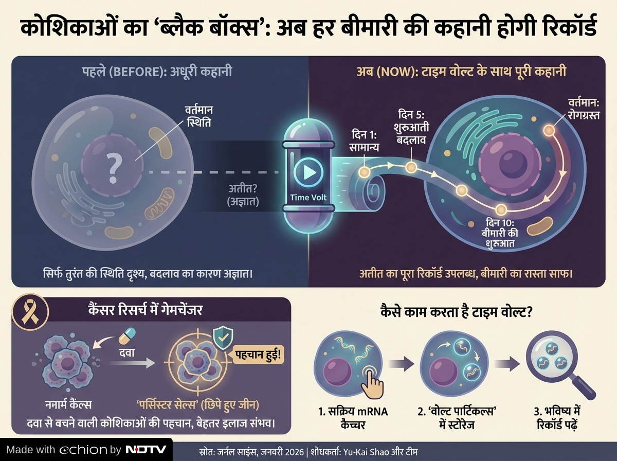 Latest and Breaking News on NDTV