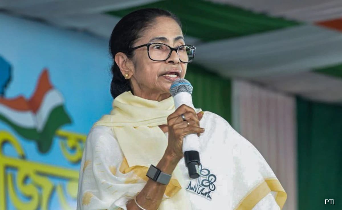 The Art of Baking: From Classic Bread to Artisan Pastries