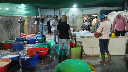 Watch: 4,000 Kg Fake Ginger-Garlic Paste Busted In Hyderabad, Items Worth Rs 22 Lakh Seized