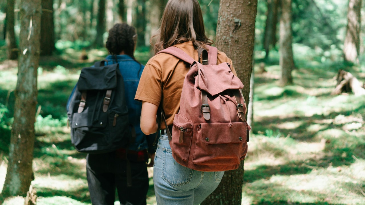 Stylish anti-theft backpacks that offer unmatched comfort