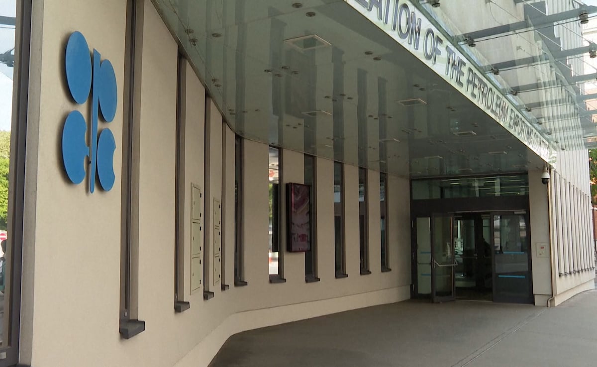 Russia To Stay In OPEC+ Despite Shock UAE Exit, Praises Organisation