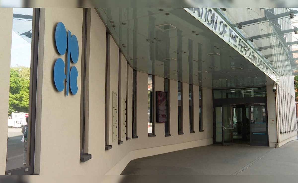 The Art of Baking: From Classic Bread to Artisan Pastries