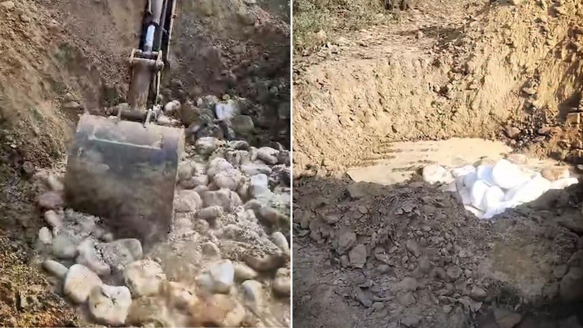 900 kg Adulterated Paneer Worth Rs 2.25 Lakh Destroyed In Ghaziabad