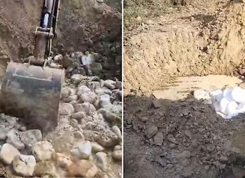 900 kg Adulterated Paneer Worth Rs 2.25 Lakh Destroyed By Food Safety Team In Ghaziabad