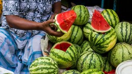 Circulation To Nutrition: Study Reveals How Watermelon Benefits Your Whole Body