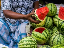 Circulation To Nutrition: Study Reveals How Watermelon Benefits Your Whole Body